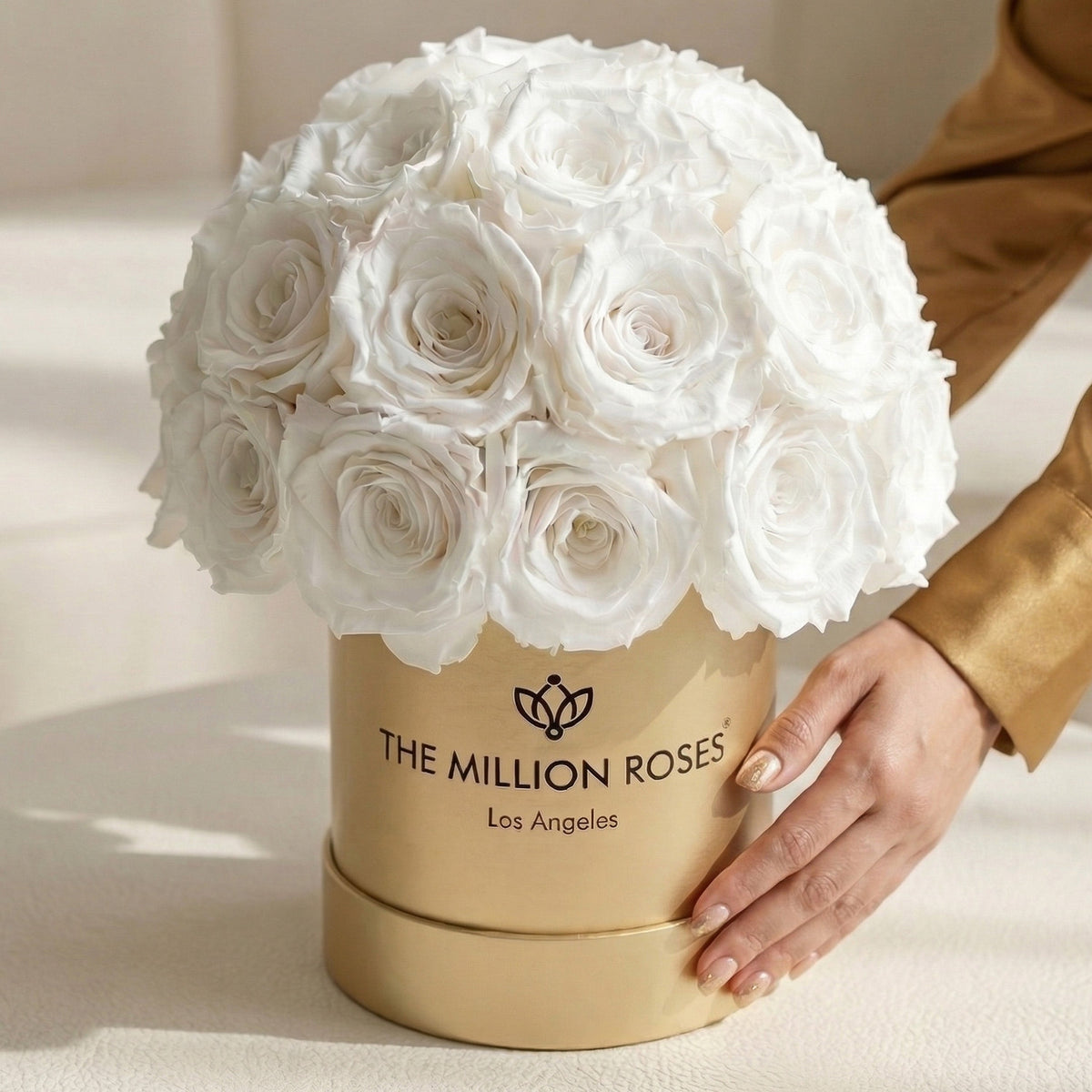 White roses in gold superdome box, logo band visible as hand rests beside
