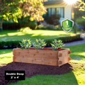 Double-deep cedar raised garden bed kit with three plant pots on soil