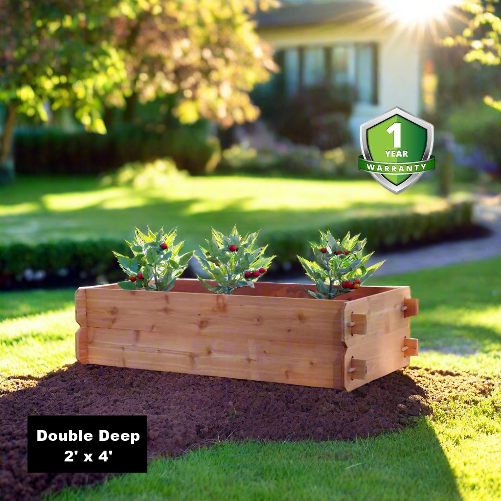 Double-deep cedar raised garden bed kit with three plant pots on soil