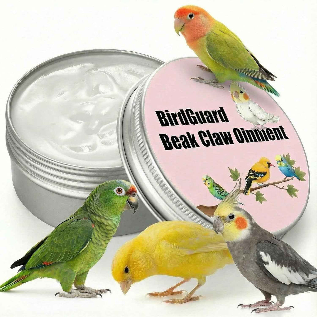 Open tin of bird balm with labeled lid and four birds