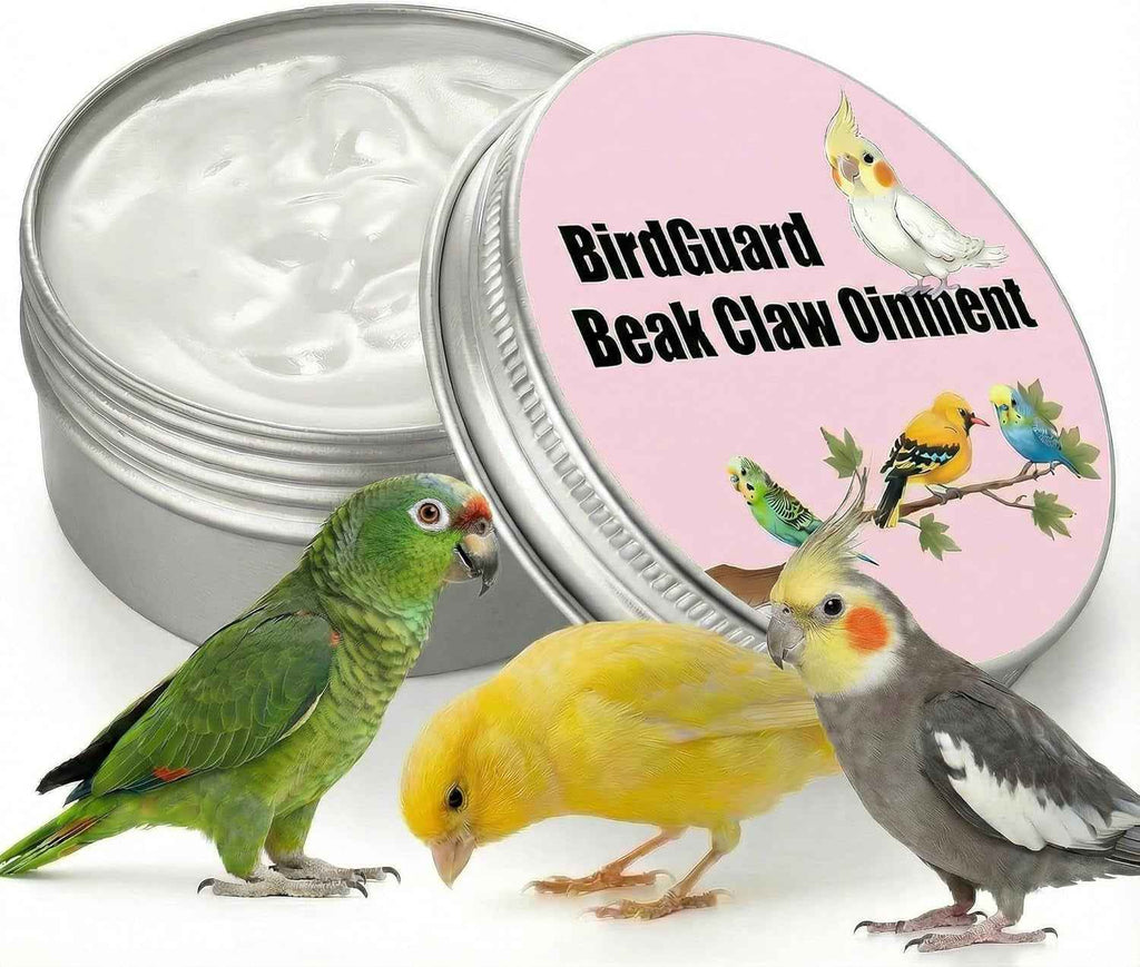 Open bird balm tin with labeled lid and three birds
