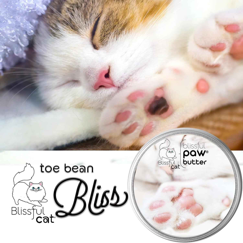 Cat paw butter balm tin shown beside a sleeping cat's pink paw pads.