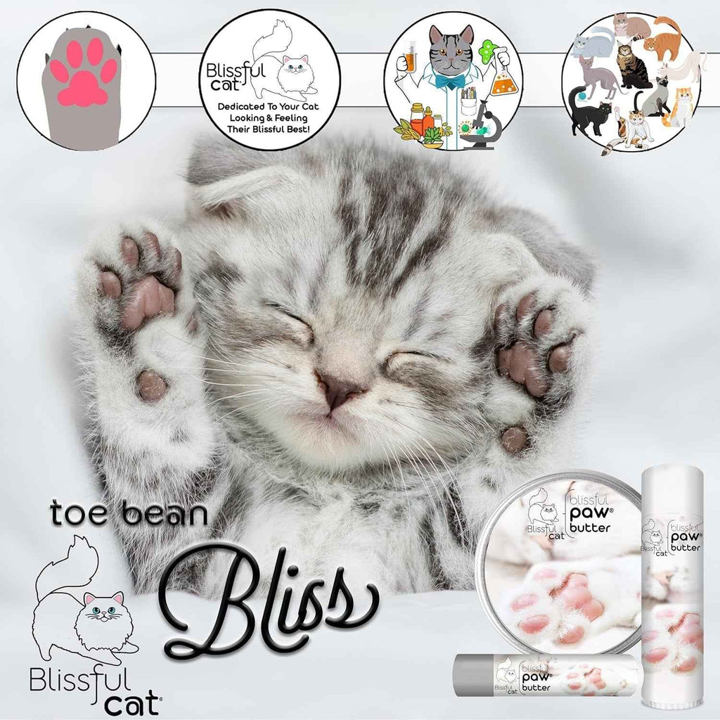 Cat paw butter balm tin and tubes shown with a kitten and paw care illustrations.