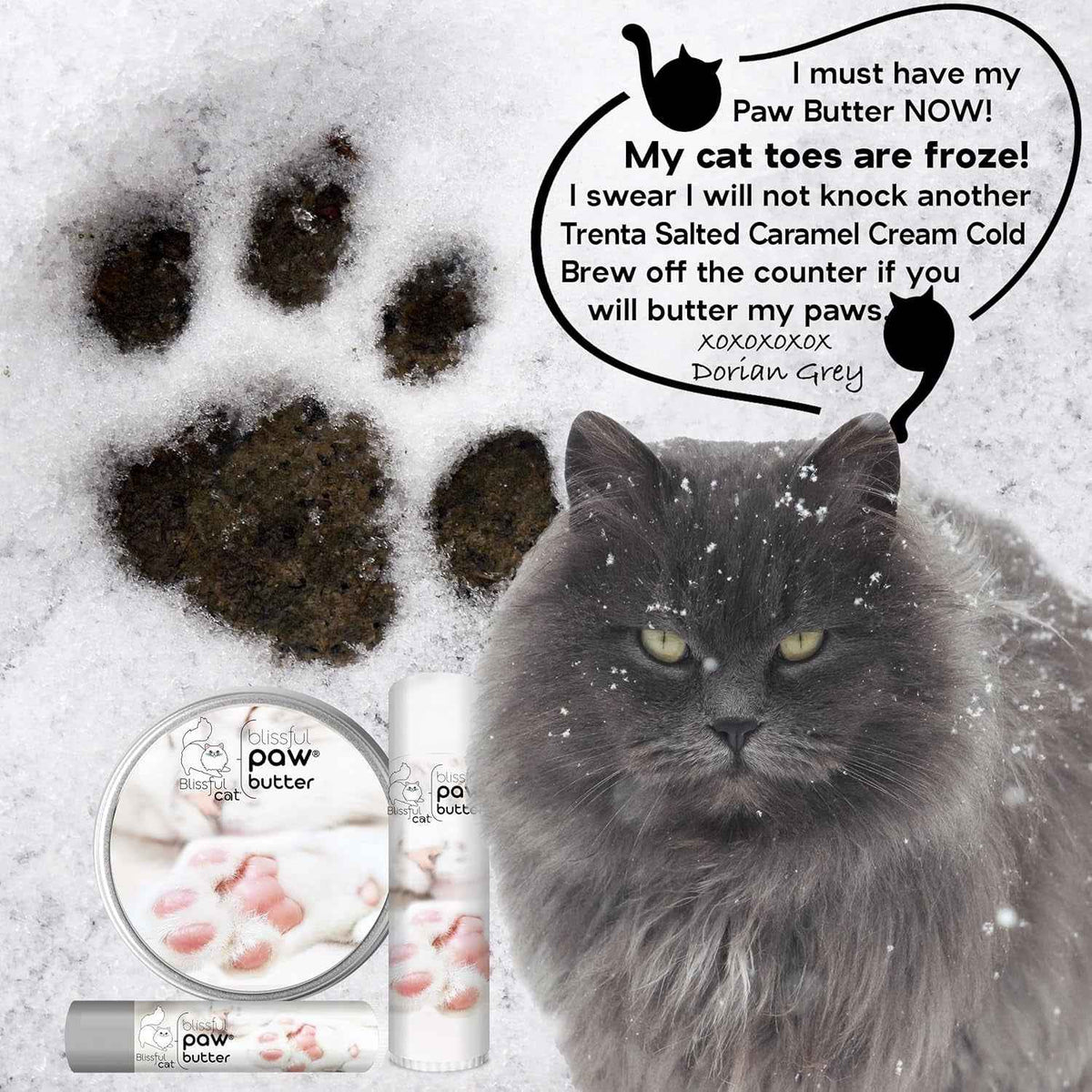 Cat paw butter balm tin and tubes displayed beside a gray cat.