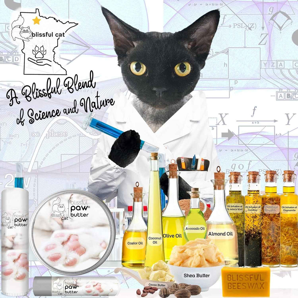 Cat paw butter balm tin and tubes shown with ingredient oils and shea butter.