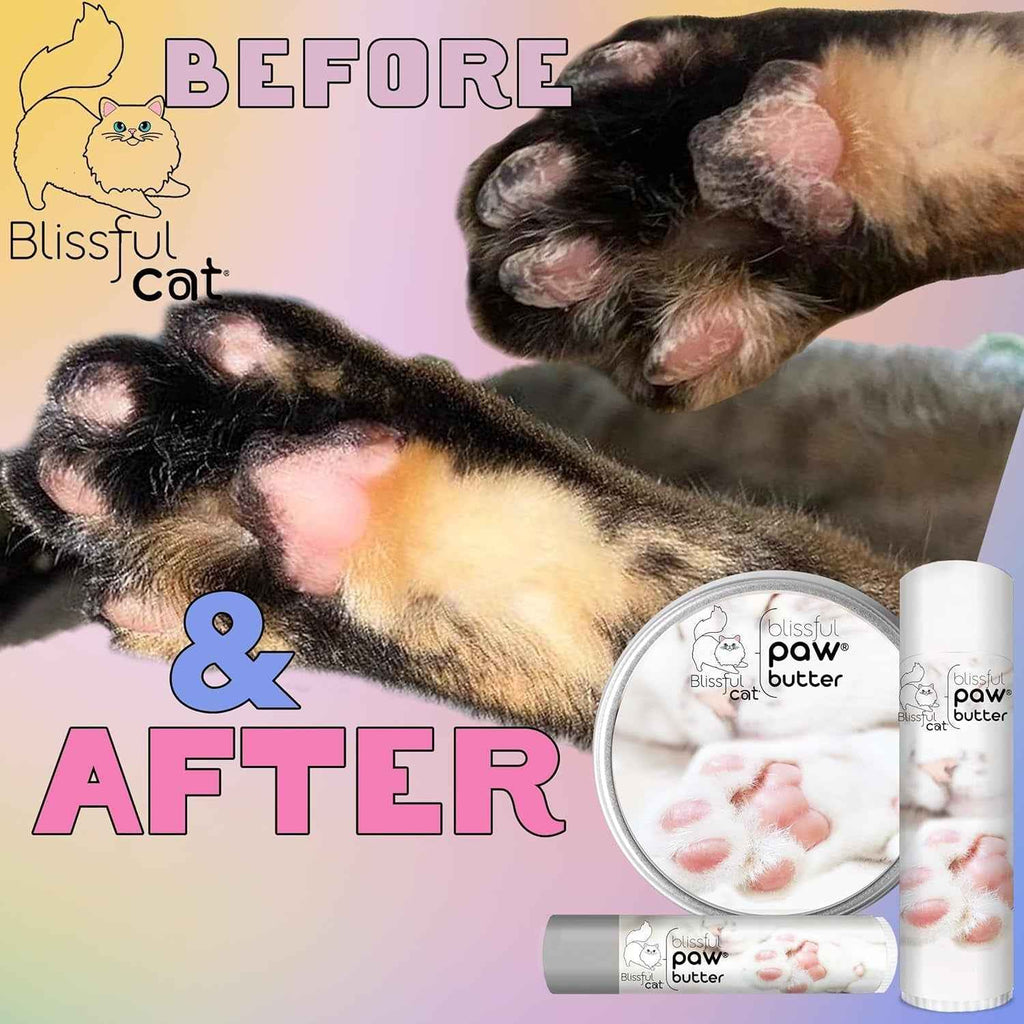 Cat paw butter balm tin and tubes shown beside before-and-after views of cat paws.