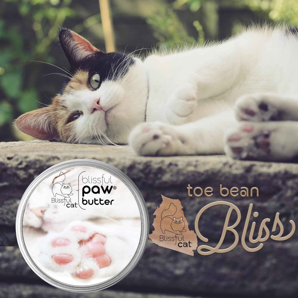 Cat paw butter balm tin shown beside a reclining cat.