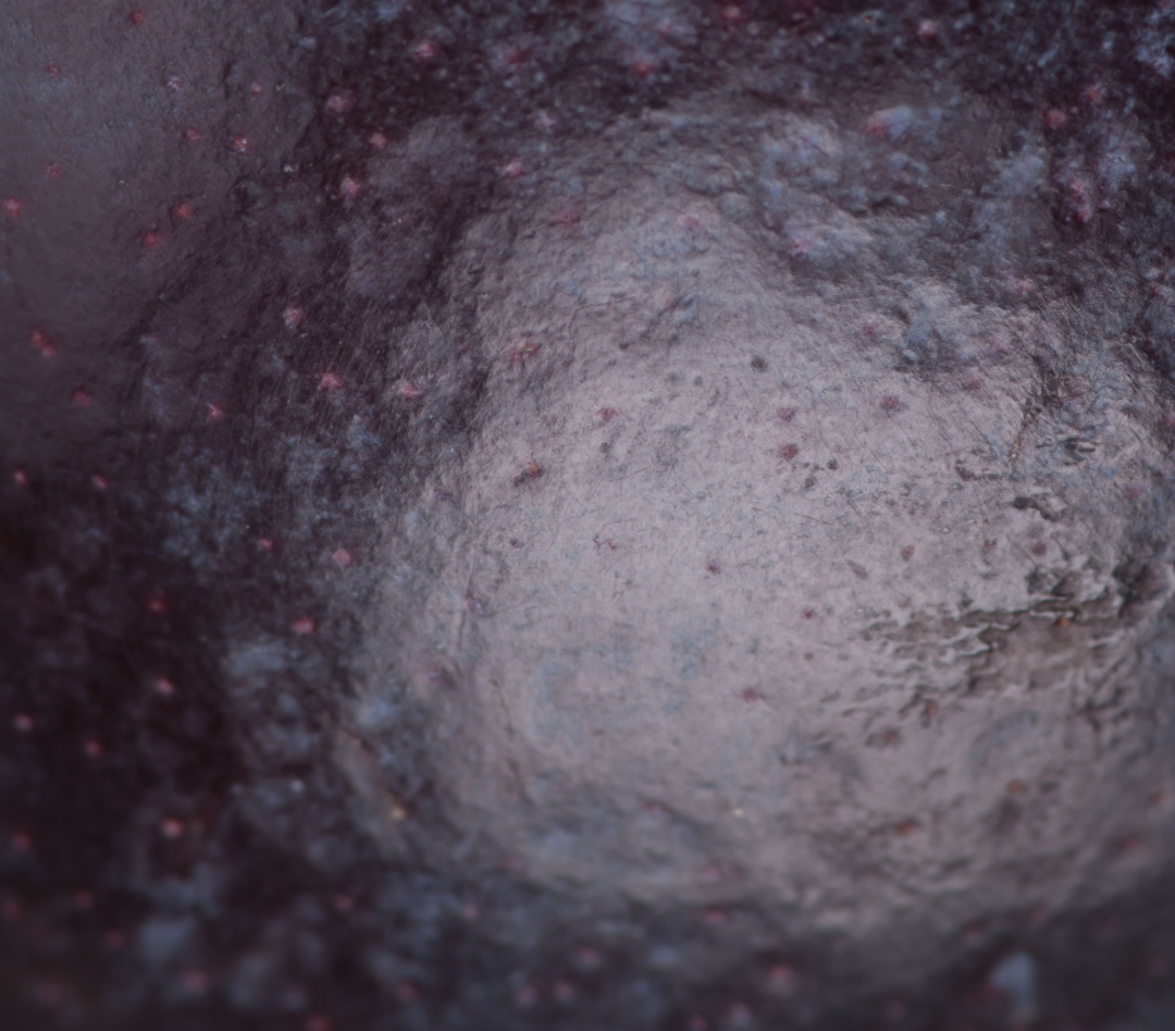 Close-up of purple blueberry-flavored yak cheese texture.