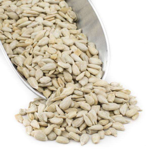 Raw organic sunflower seeds in metal scoop, light beige kernels