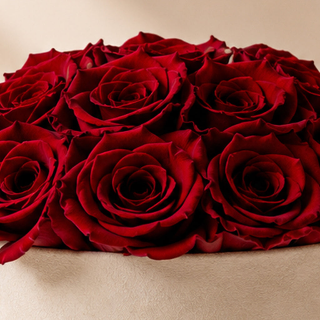 Close-up of red roses inside a beige dome box