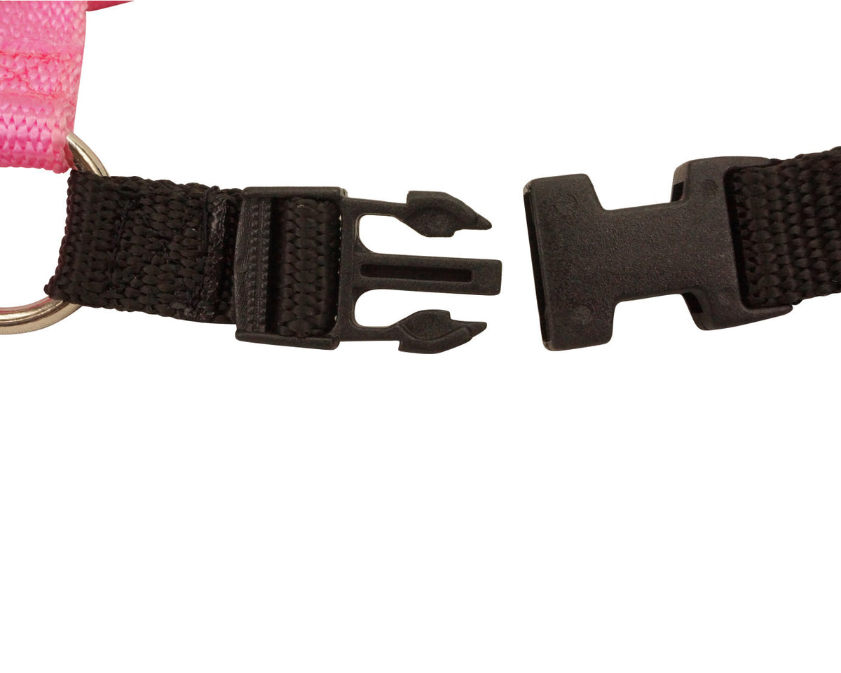 Black Comfort Walk dog harness side close-up with plastic buckle and strap loops
