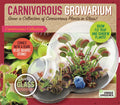 Carnivorous Growarium seed terrarium kit box with a double-sphere glass terrarium and plant artwork