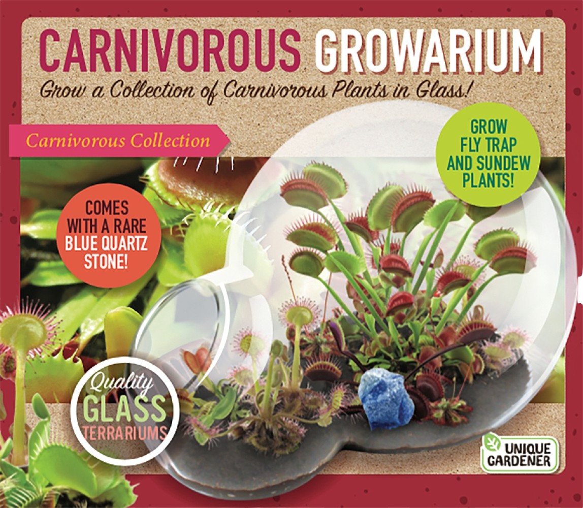 Carnivorous Growarium seed terrarium kit box with a double-sphere glass terrarium and plant artwork
