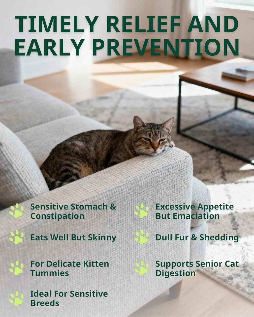 Cat constipation relief drops shown beside a resting tabby cat.