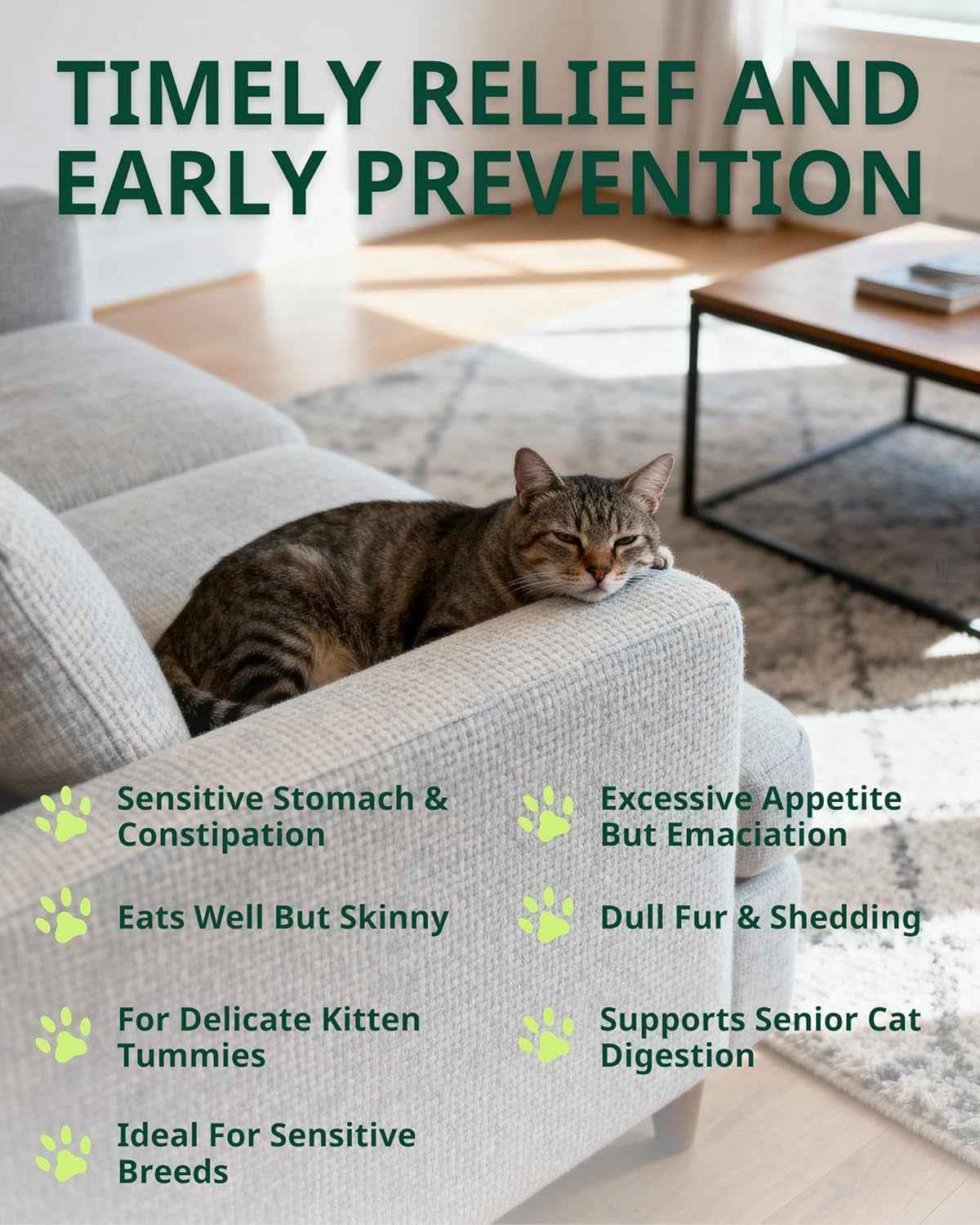 Cat constipation relief drops shown beside a resting tabby cat.