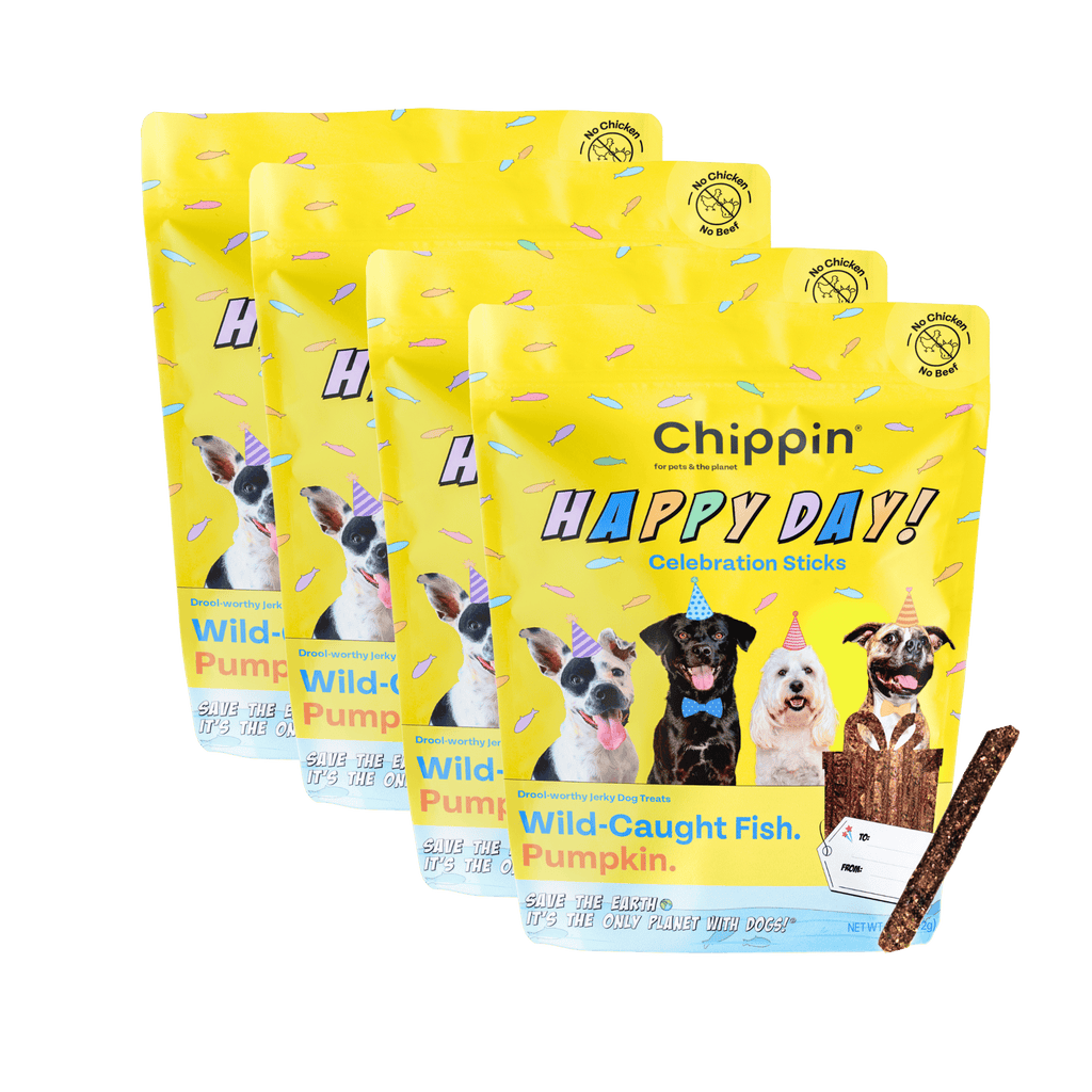 Pack of yellow dog treat pouches for Happy Day celebration sticks