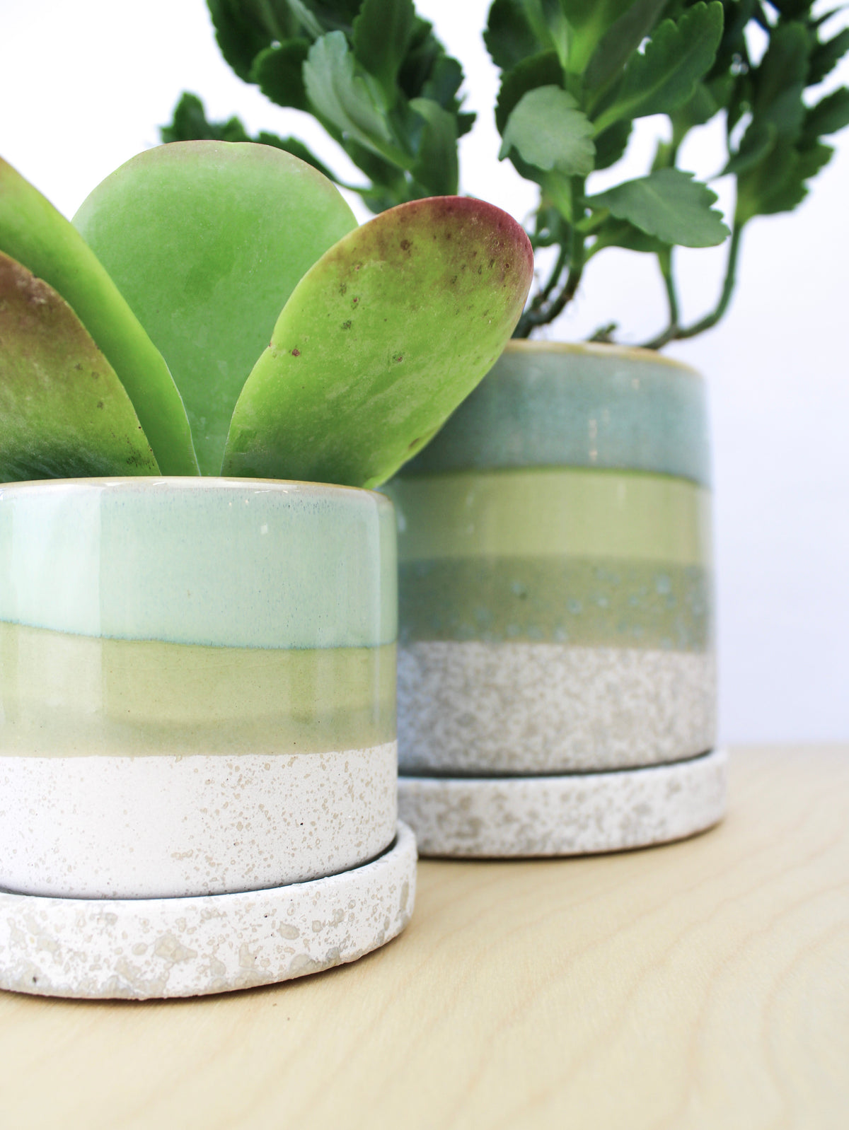 Cement green ceramic plant pot and saucer with textured speckled base