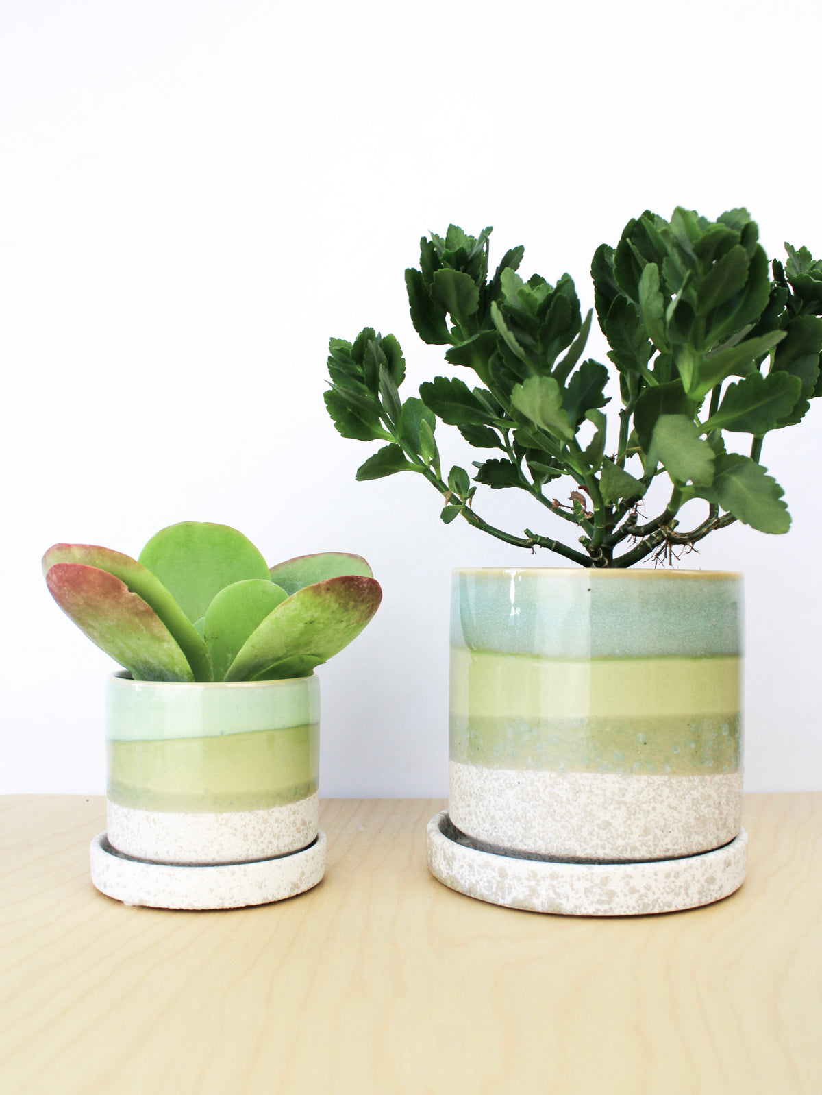 Ceramic plant pot and saucer set with cement green glaze and speckled bottom