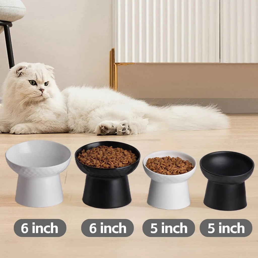 Raised tilted cat bowls set with white and black bowls