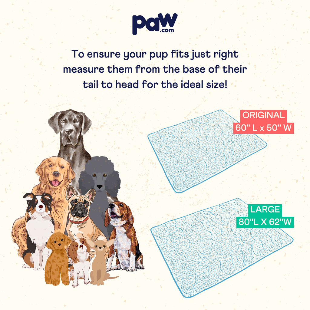 Cooling pet blanket size chart illustration showing Original and Large dimensions