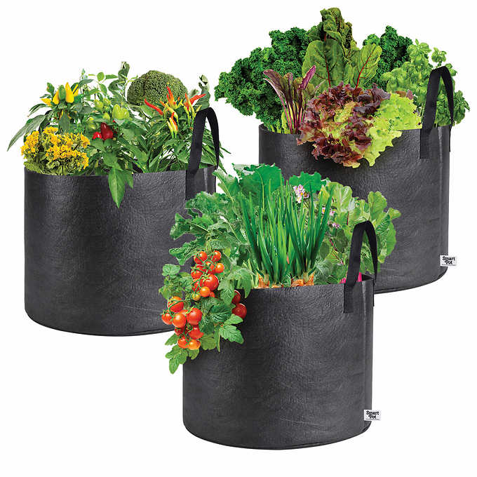 Three black fabric vegetable planter bags filled with assorted greens and flowers