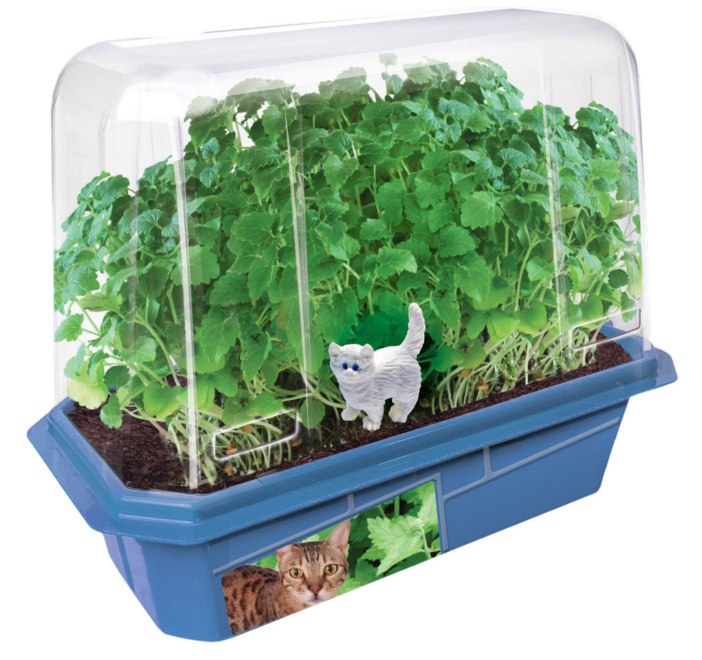 Terrarium with dense green plants, clear dome, blue base, and white cat figurine