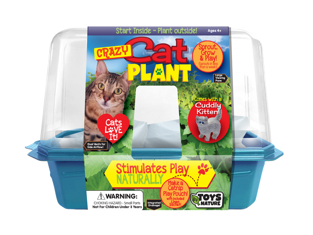 Crazy Cat Plant Mini World Terrarium kit in a clear dome with blue planter base and printed sleeve