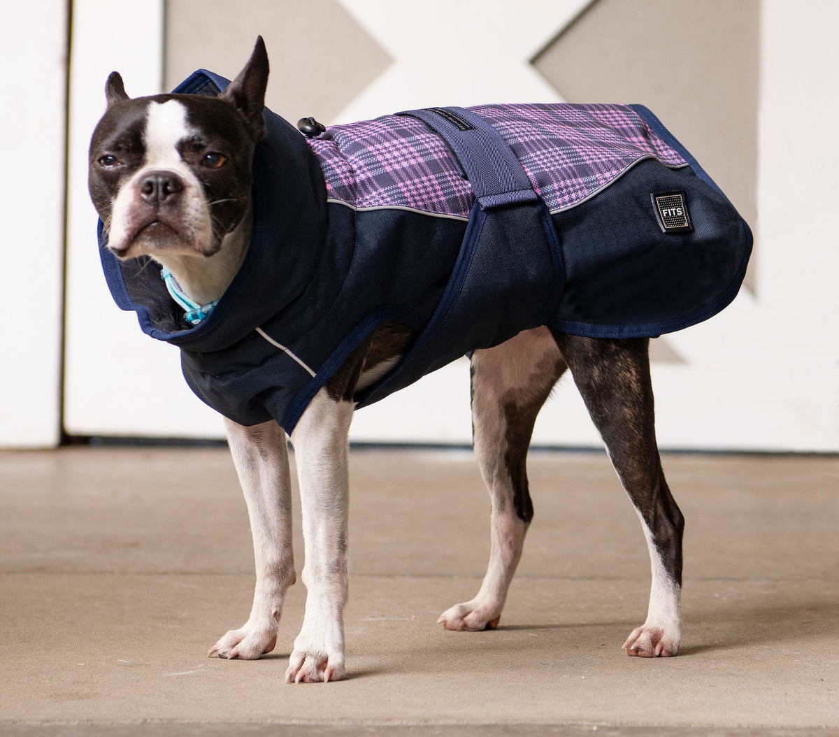 Dog all-weather coat, dark navy with purple plaid hood and front pocket