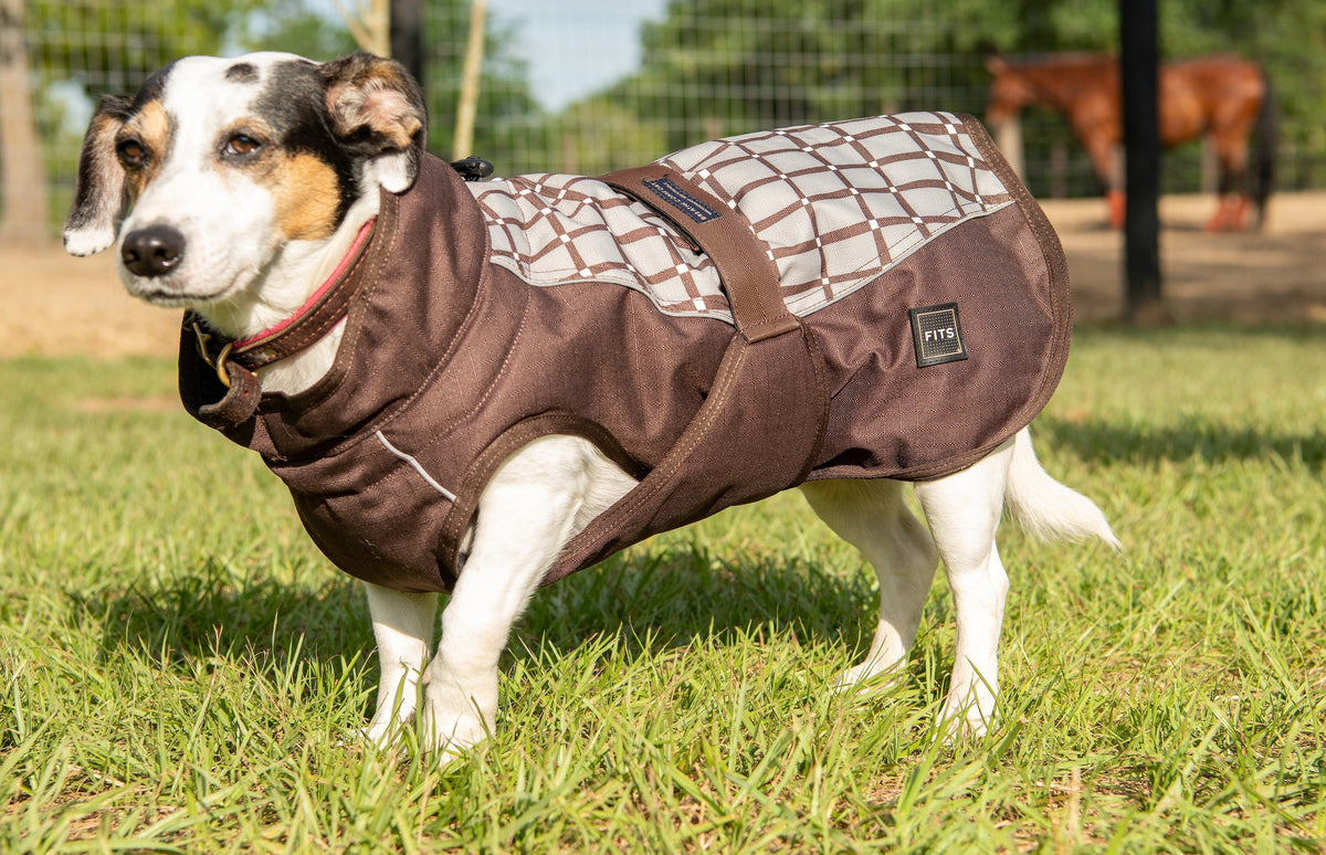 Dog all-weather coat, brown with white grid pattern accents and padded hood