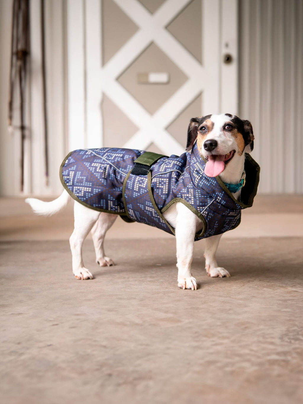 All-weather dog coat in blue geometric pattern with navy hood, side view
