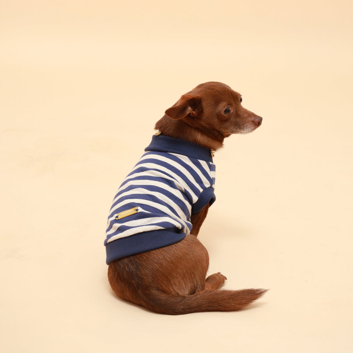 Blue and white striped cotton tank top with navy rib trim