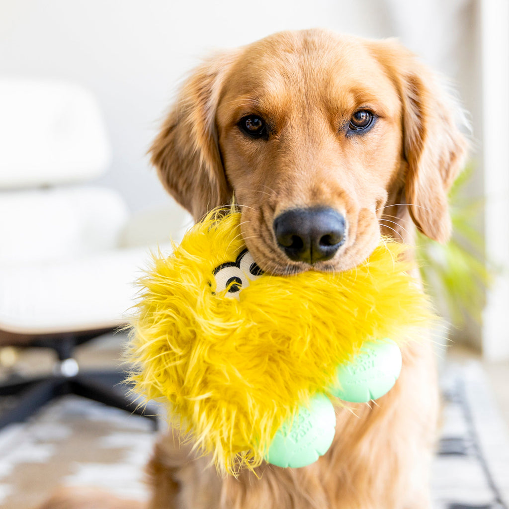 Yellow Rolf plush monster dog toy worn or held by a dog