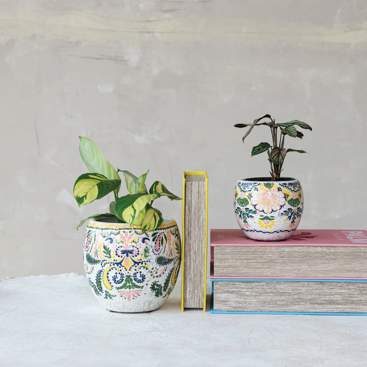 Terracotta planter with crackle glaze floral pattern, holding green leafy plants