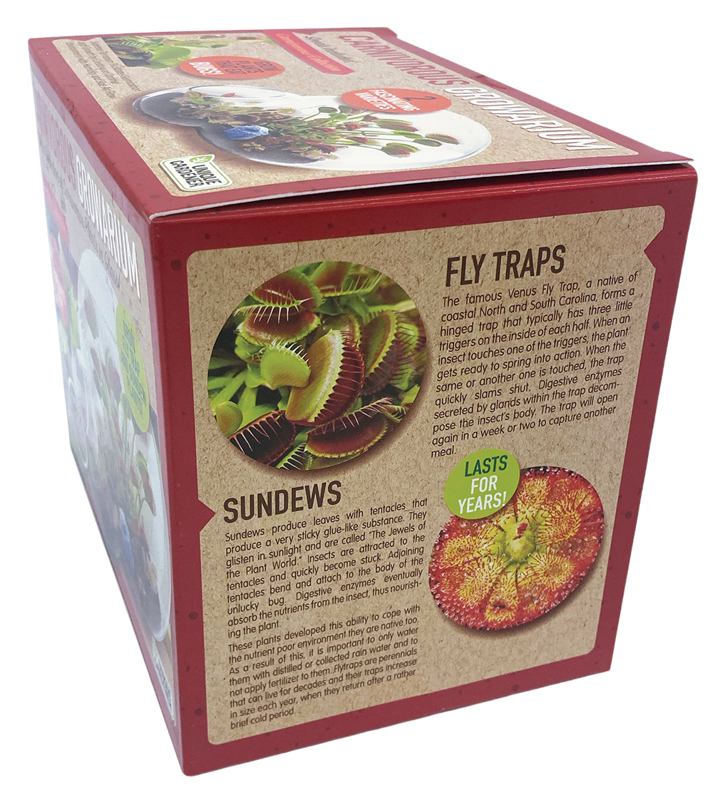 Terrarium kit box panel with information about flytraps and sundews