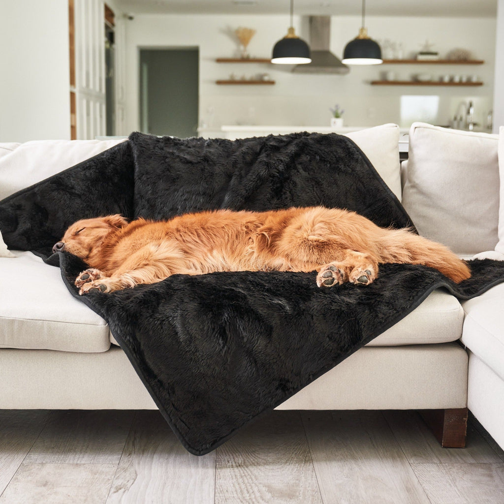 Midnight black faux-fur waterproof throw blanket folded on a couch, dog on top.