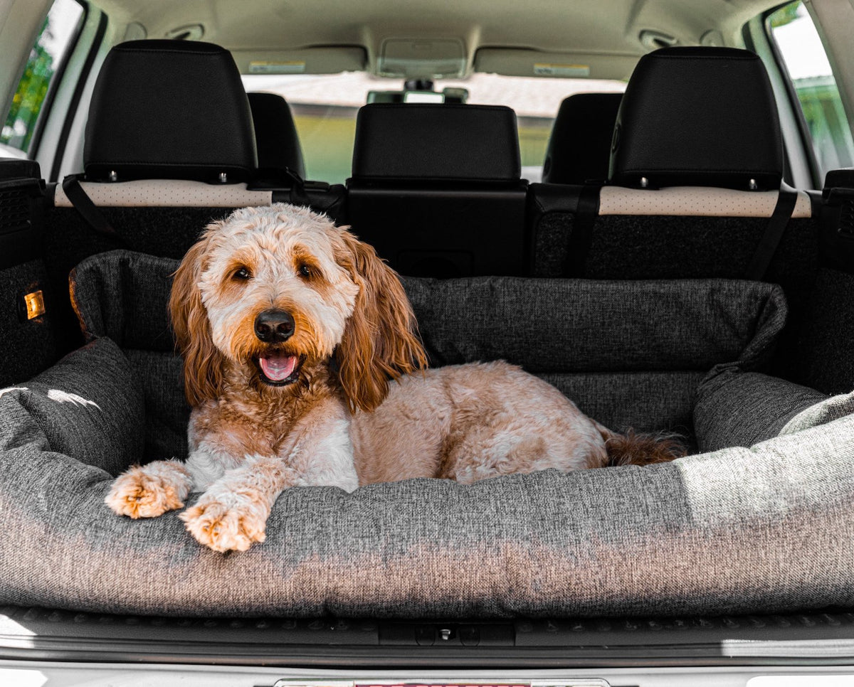Gray dog car bed with bolstered sides placed on the back seat.
