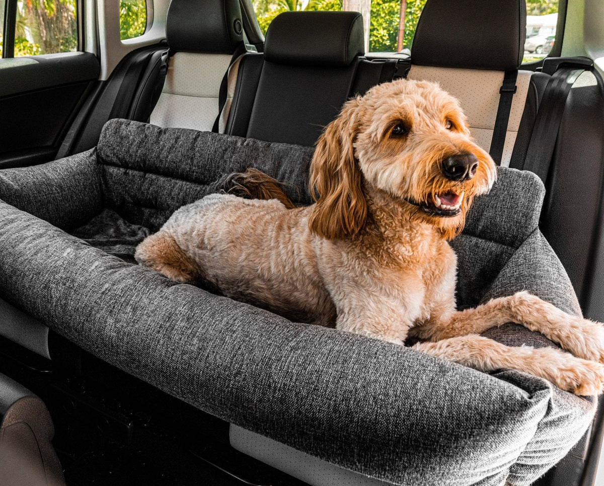 Gray tweed memory foam dog car bed with dog lying on top in the car