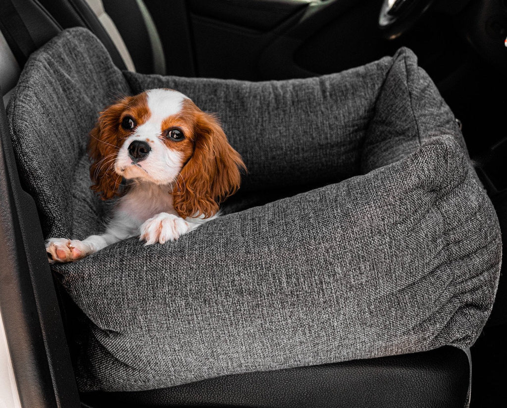 Gray dog car bed with bolstered sides on a car seat; dog resting.