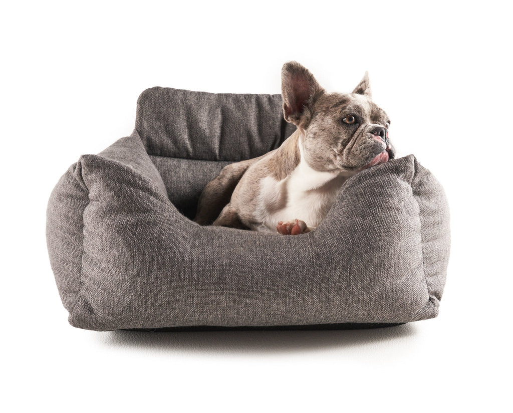 Gray dog car bed with raised rim and cushioned base; small dog inside.
