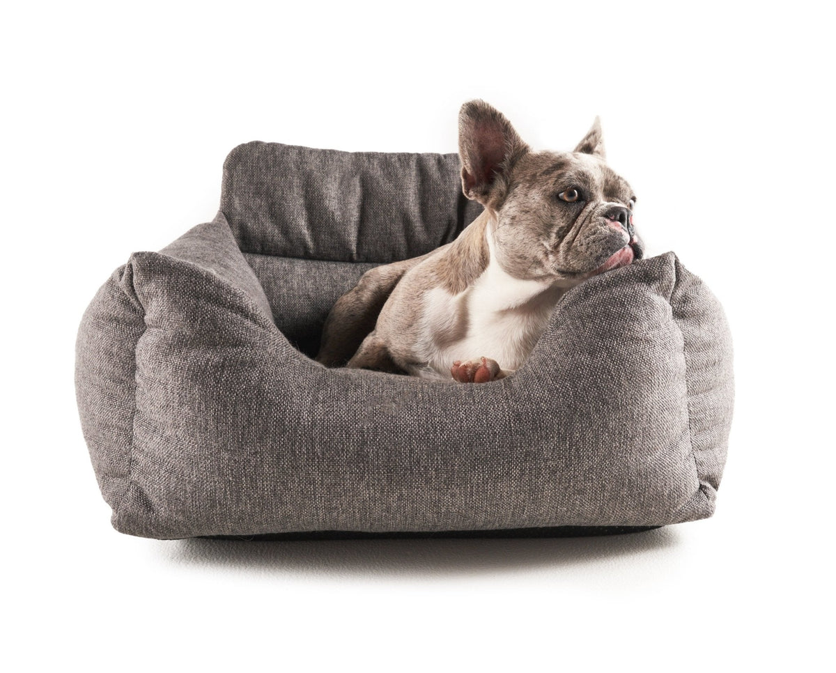 Gray dog car bed with raised rim and cushioned base; small dog inside.