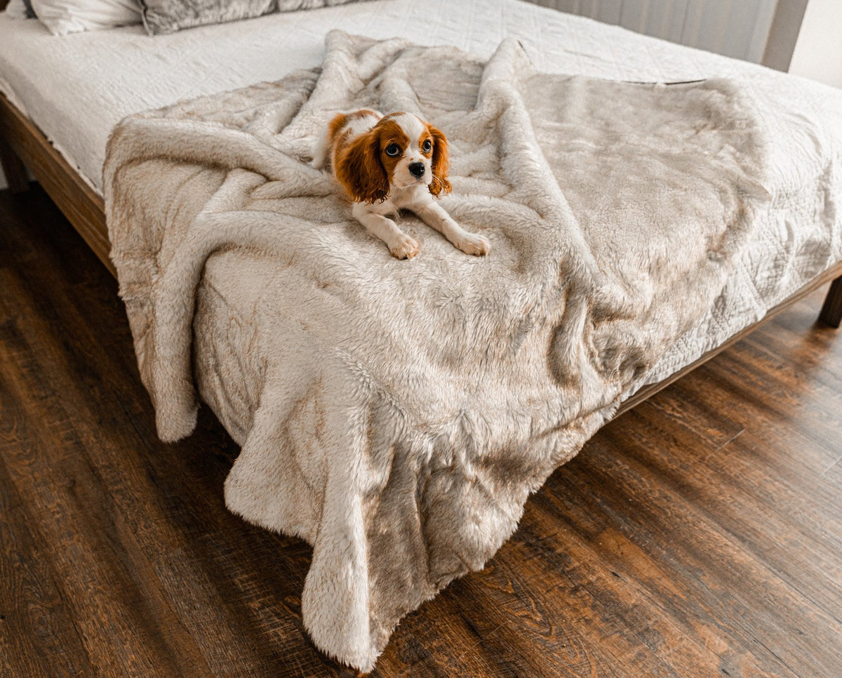 White faux-fur waterproof throw blanket with brown trim, draped over a bed