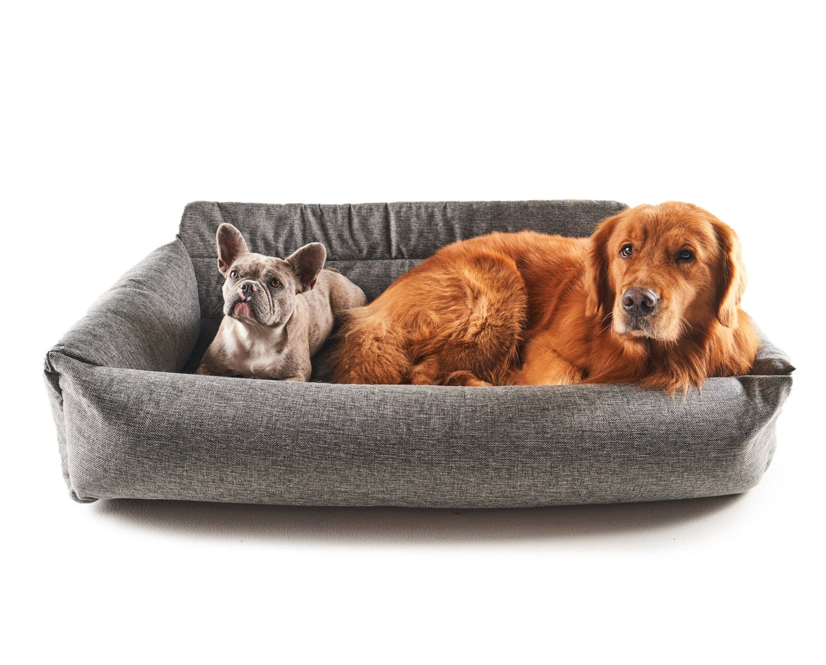 Gray dog car bed with bolstered sides; two dogs resting inside.
