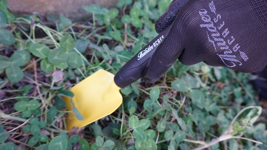 Purple nitrile-coated garden glove grasping a yellow sponge for cleaning