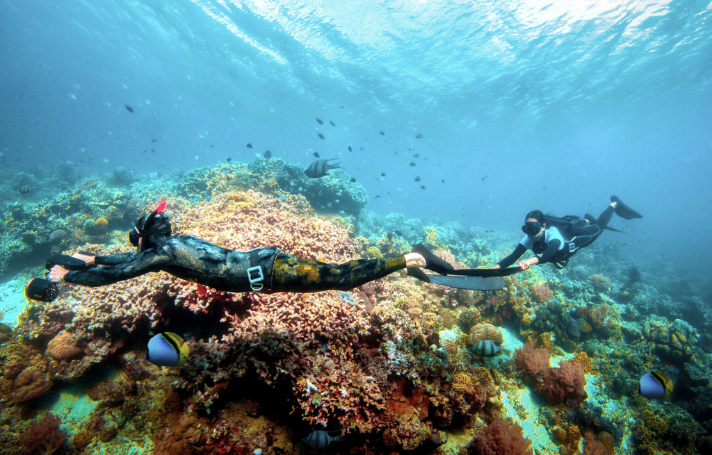 Underwater diving mask with arms-mounted camera housing and black straps