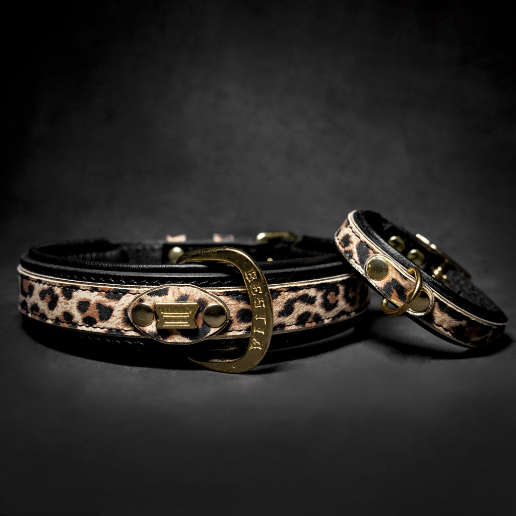 Leopard print dog collar with black backing and gold buckle plus D-ring