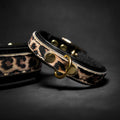 Leopard print puppy collar with black strap, gold ring, and metal buckle