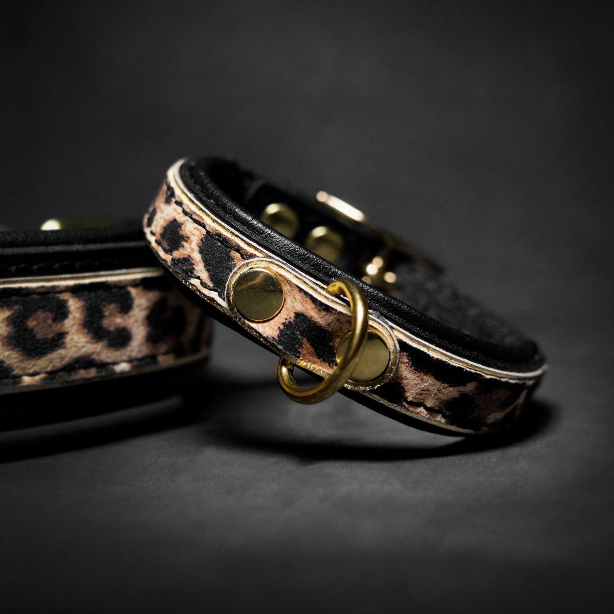 Leopard print puppy collar with black strap, gold ring, and metal buckle