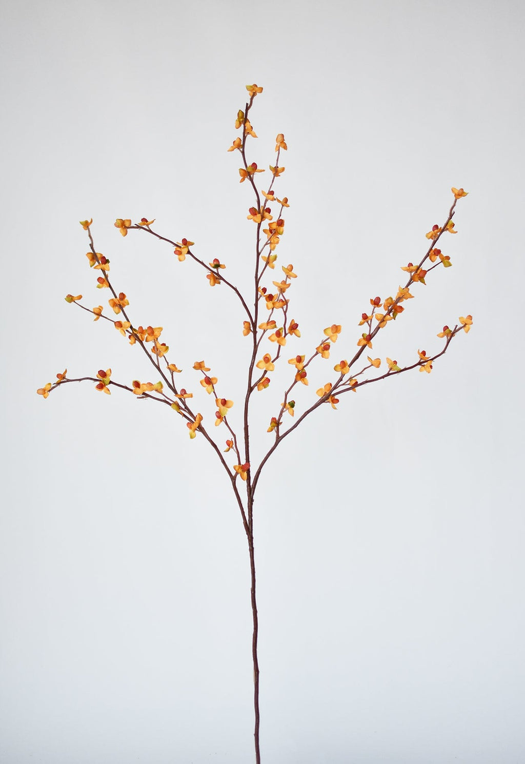 Faux bittersweet stem with orange and yellow berry clusters on slender branches