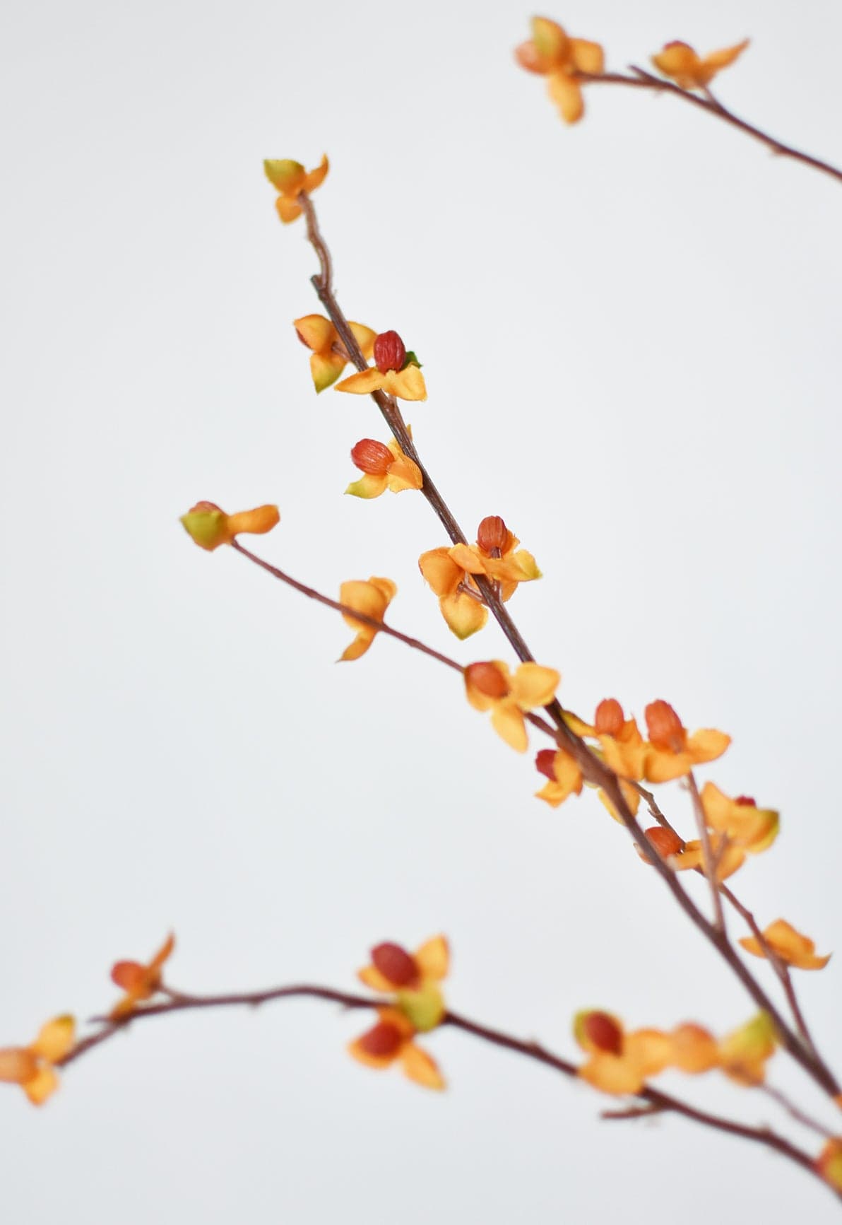 Faux bittersweet stem with orange and yellow berries on thin twigs, angled