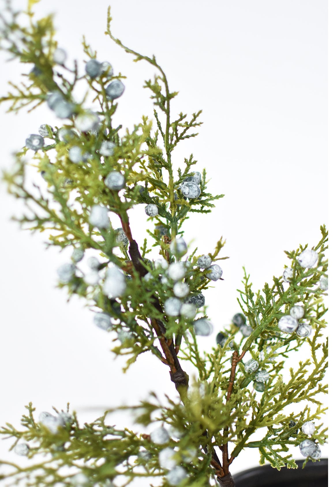 Close-up faux juniper stem with shiny silver berries on green twigs